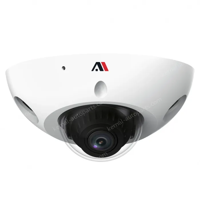 3 million AI intelligent anti-riot network cameras