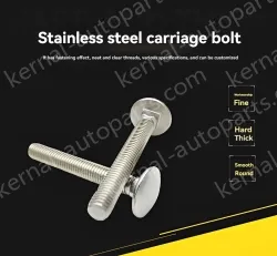 Big head carriage bolt M6*25