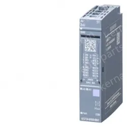 Analog input modules